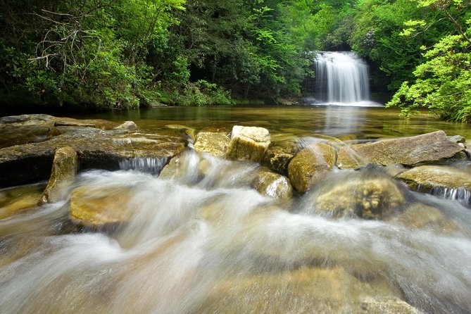 Private Waterfall and Blue Ridge Parkway Tour With a Naturalist