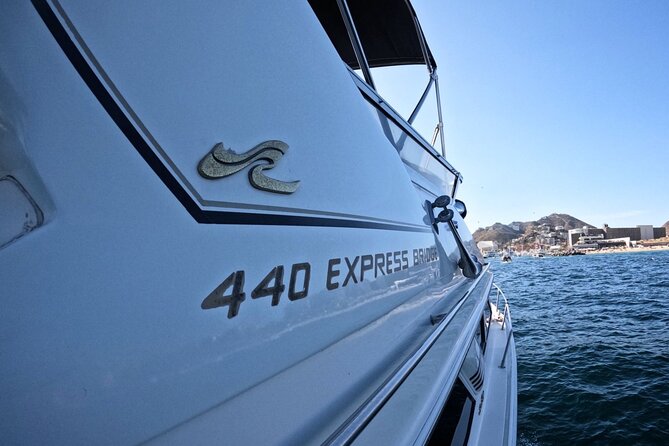 PRIVATE Whale Watching Tour and Snorkeling Tour Cabo San Lucas
