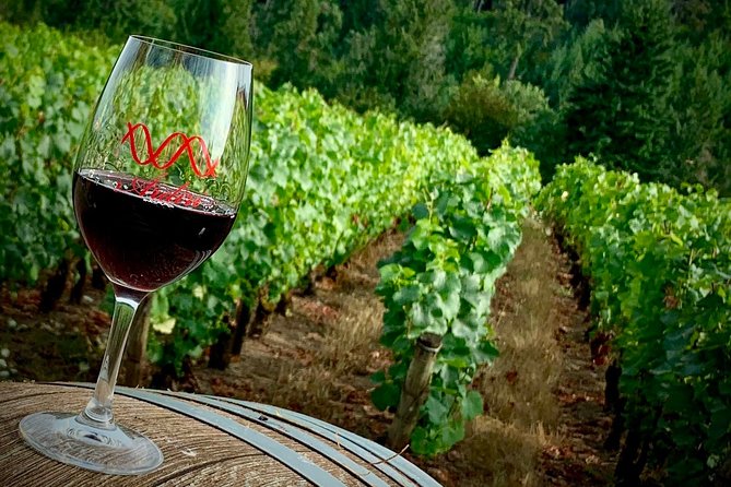 Private Willamette Valley Wine Tasting Tour-Tasting Fees Included