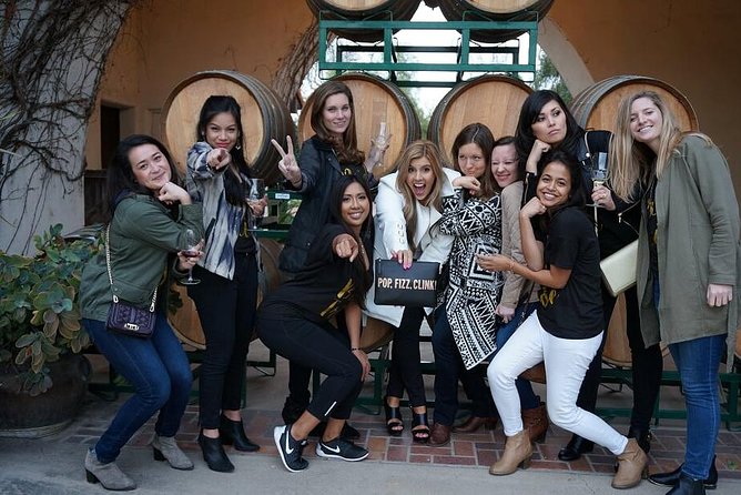 Private Wine Tasting Tour From Santa Ynez, Solvang or Buellton!
