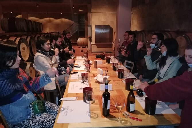 PRIVATE Wine Tasting Tour to the Bekaa Valey Fabulous Wineries - Overview of Bekaa Valley