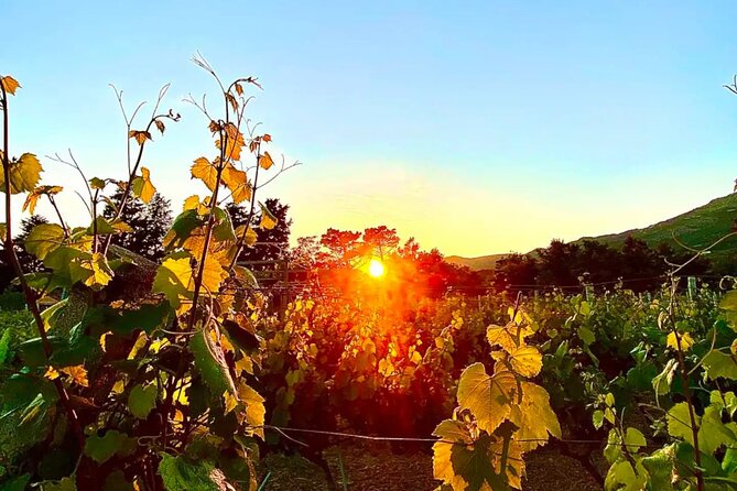 Private Wine Tasting Under The Stars With Sunset Panorama