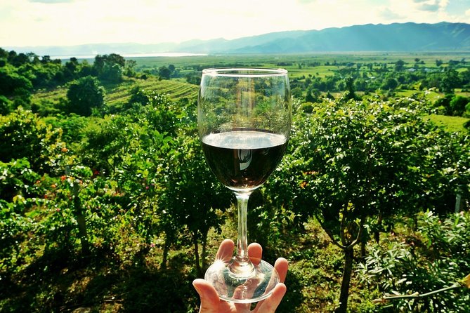 Private Wine Tour From Zagreb: Two Local Wineries & Samobor