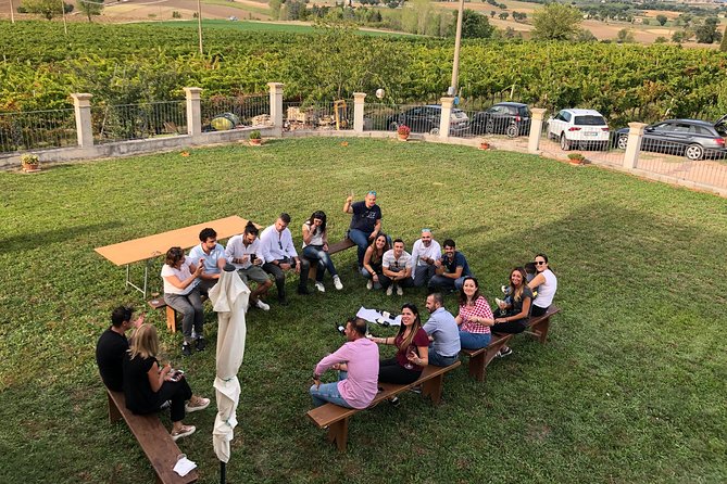 Private Wine Tour With a Sommelier From Assisi – Dinner Included in Montefalco