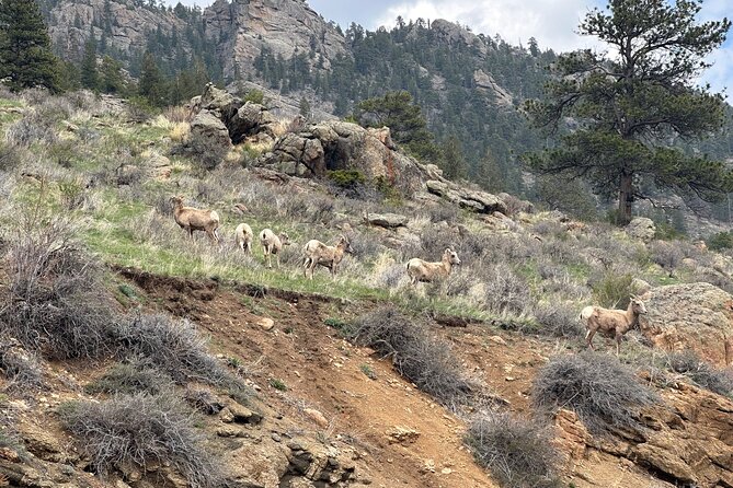 Private Winter Tour in Rocky Mountain National Park - Inclusions and Exclusions