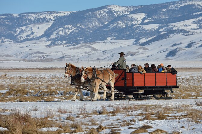 Private Winter Tour of Grand Teton National Park & Sleigh Ride