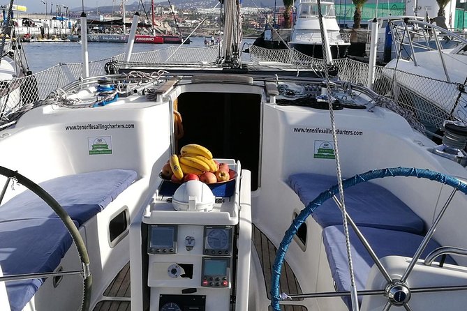 Private Yacht Tour With Whale and Dolphin Watching 42 Foot Boat