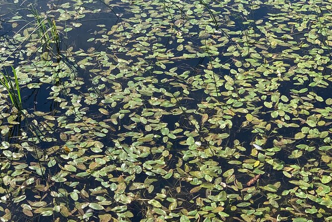 ProkošKo Lake: a Day Tour to the Forgotten Village From Sarajevo