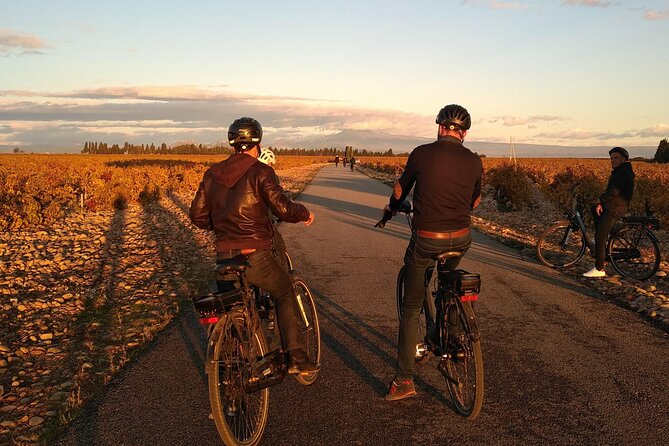 Provence and Wine Tasting by E-Bike From Saint-Rémy-De-Provence