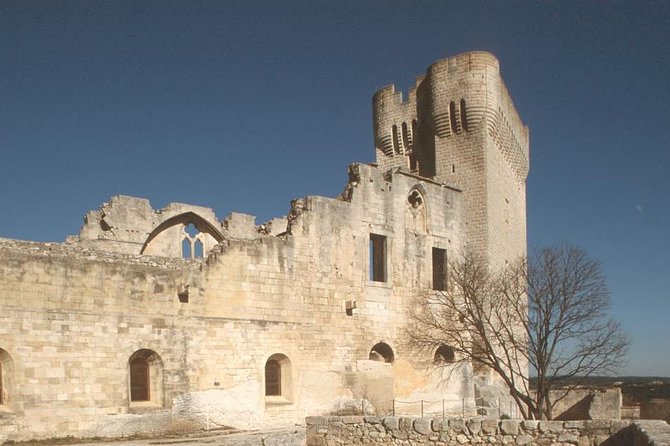 Provence Region Roman Abbey of Montmajour Entrance Ticket