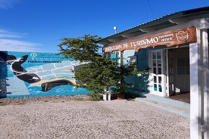 Puerto Piramides Private Tour And Sailing in Peninsula Valdes