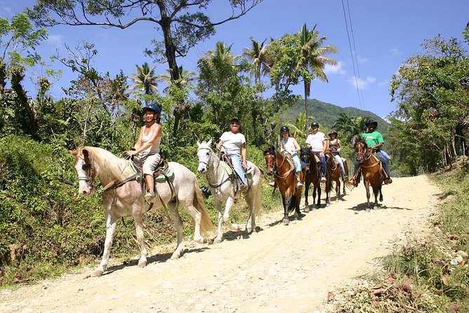 Puerto Plata: Mountain Half Day Horseback Riding
