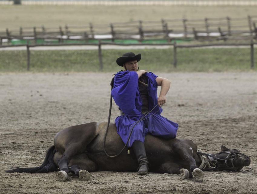 Puszta Tour and Horse Show - Cultural Experience in Kecskemét