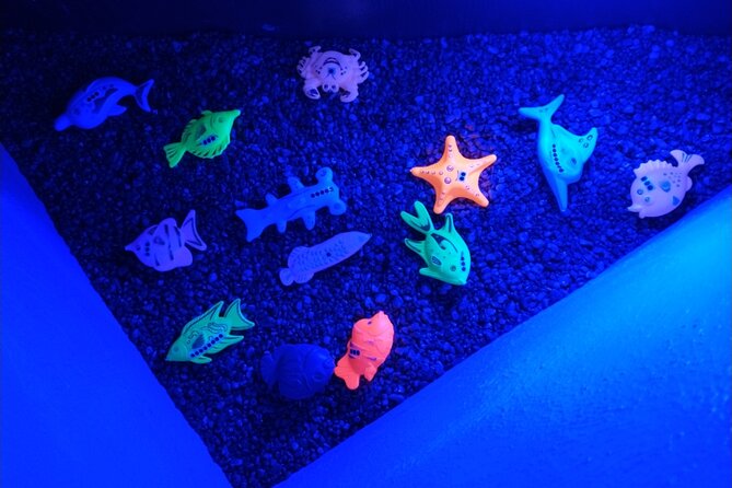 Puzzle Pirates Puzzle Room Experience For Kids