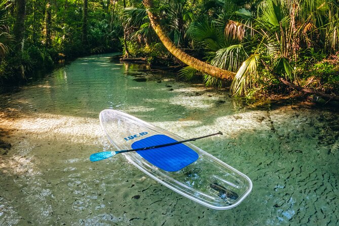 Rainbow Springs: Clear Kayak & Snorkel Eco Tour