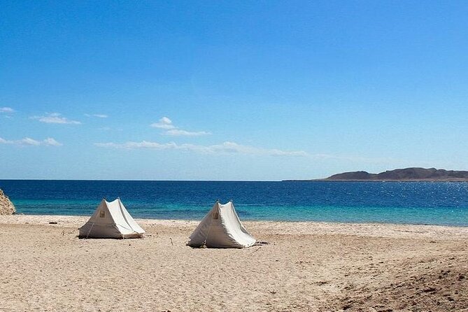 Ras Mohamed National Park by Bus Half Day - Sharm ElSheikh