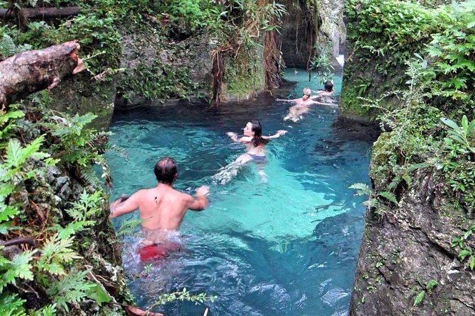 Reach Falls Adventure Tour From Kingston