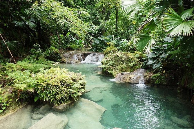 Reach Falls Adventure Tour From Port Antonio