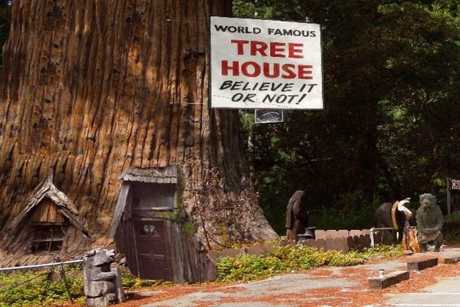Redwood National Park Tour 2-Day Private Tour Package Hotel Included