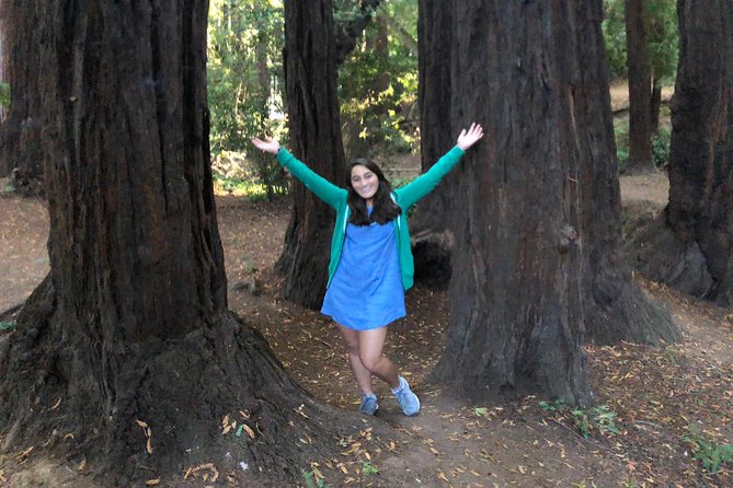 Redwoods of Marin and Mt. Tamalpais Walking Tour With Local Guide