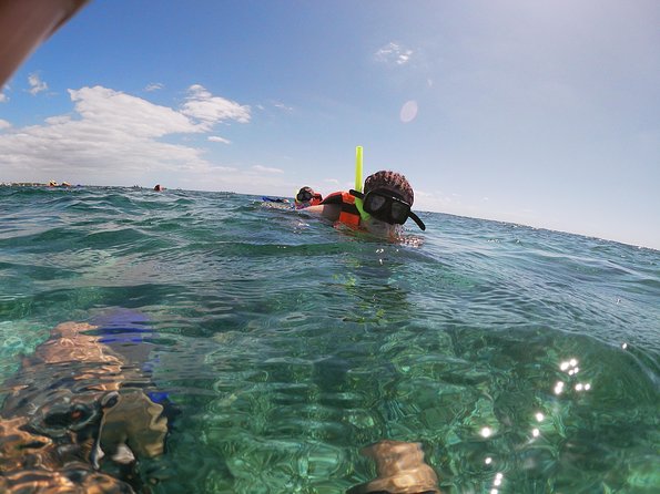 Reef Snorkel In National Park In Puerto Morelos With Lunch And Transportation