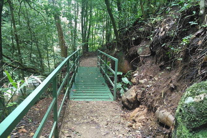Regular Guided Tour Monteverde Reserve
