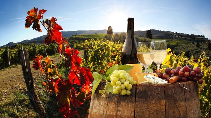 Relaxing Wine Tour With Food & Wine Tasting – Umbria