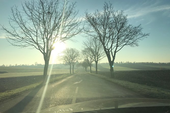 Rental Car With Driver in Strasbourg - Availability 7 Hours - Booking and Inquiries