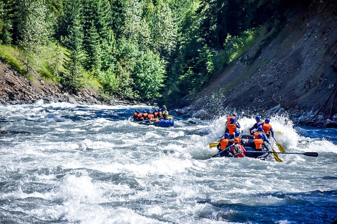 Revelstoke Rapids - Overview of Revelstoke Rapids