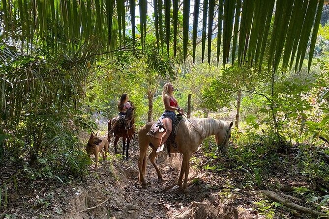 Rey Spearo – Enchanting And Romantic Custom Created Tours