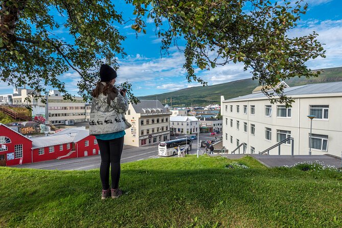 Reykjavik Private City Walking Tour