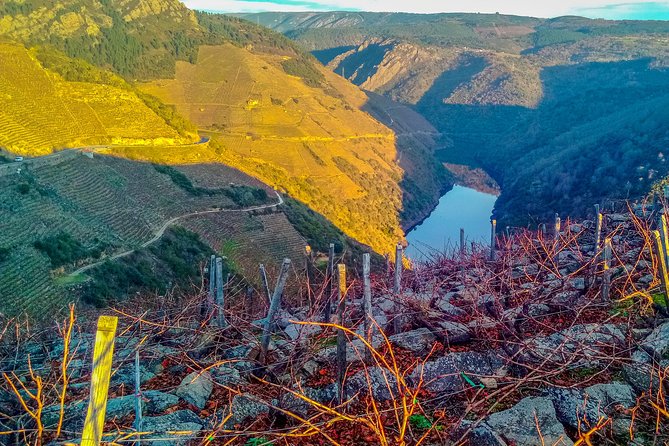 Ribeira Sacra, Heroic Wines Private Tour From Santiago