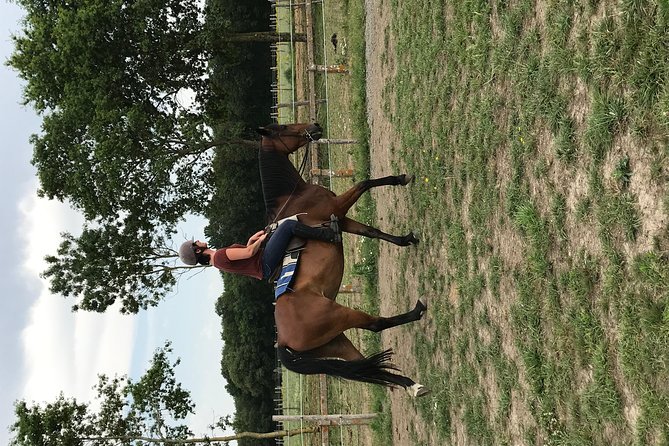 Riding Course for All Levels 1/2 Day (3 Hours)