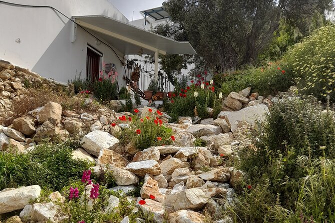 Riverbank Adventure in Naxos (Kinidaros – Eggares)