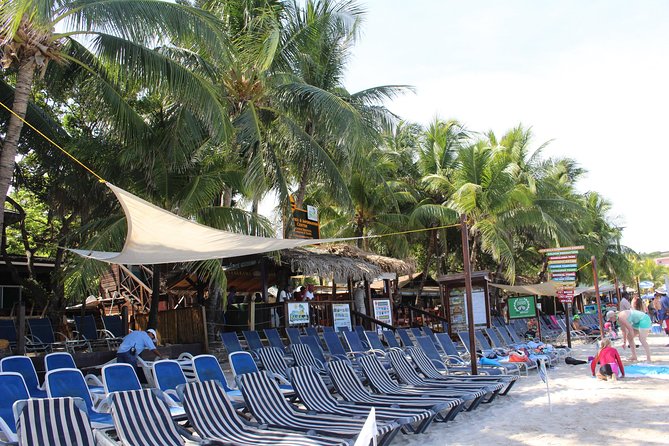 Roatan: EcoWalk and Beach Trip Combo