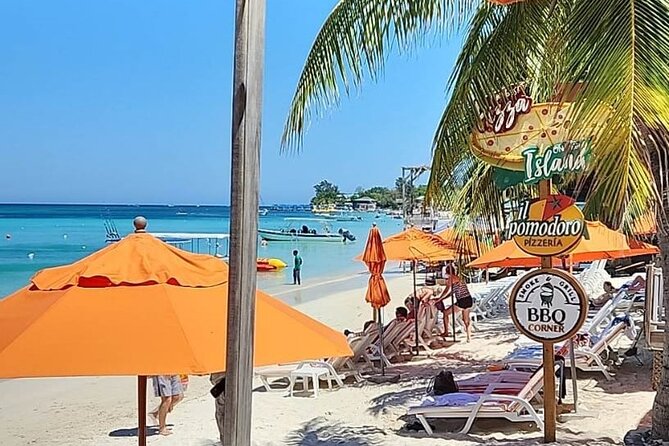 Roatan Monkey & Sloth Tour With Chocolate Rum Tasting and Beach