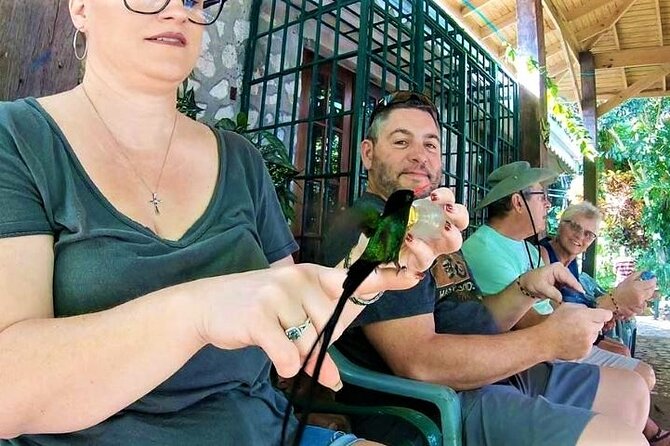 Rocklands Bird Sanctuary & City Highlights Plus Shopping From Grand Palladium