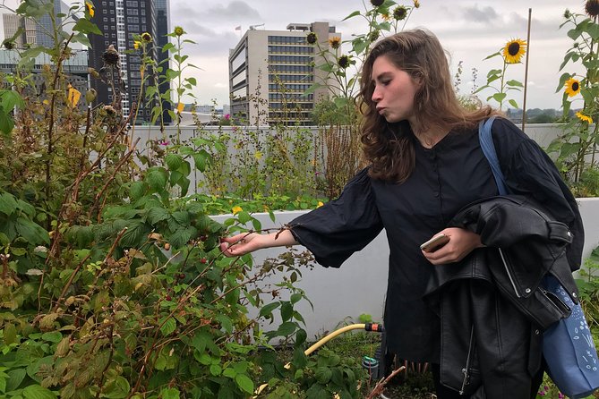 Rotterdam Travel to the Future Walking Tour