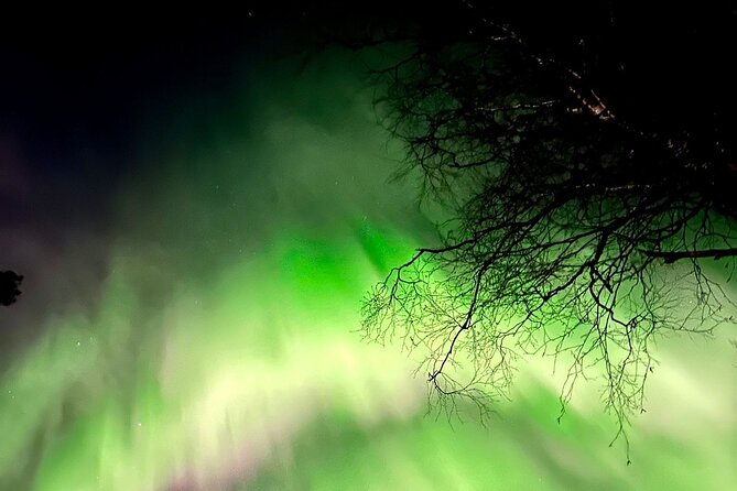 Rovaniemi: Aurora Hunting & Photography Tour