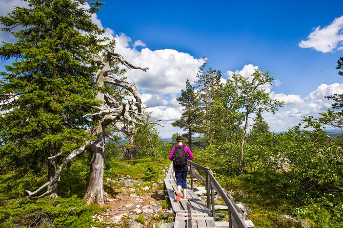 Rovaniemi: Korouoma Canyon & Waterfalls Tour With BBQ