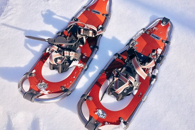 Rovaniemi Snowshoe Excursion