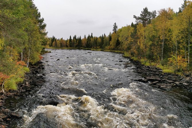 Rovaniemi: Vaattunkikönkä Nature Trail Hiking Tour