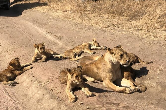 Royal Day Trip to Selous/Nyerere Park Fly Safari From Zanzibar - Tour Overview