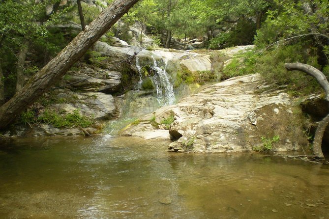 Safari 4×4 in Thassos