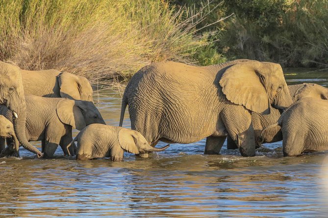 Safari in the Kruger National Park – 4 Days-All Inclusive & Private