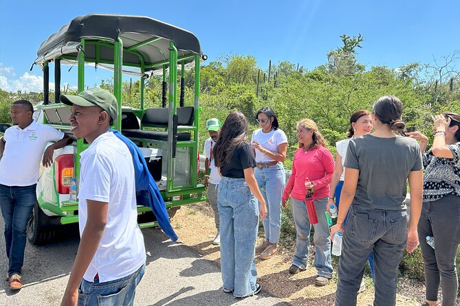 Safari Tour – Paradisiacal Excursion to Bahia De Las Águilas