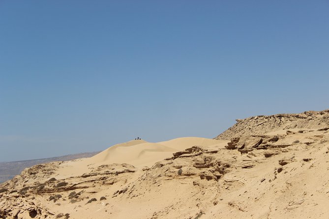 Sahara Tour : Half Day Trip to Sahara (Sand Dunes ) With Lunch