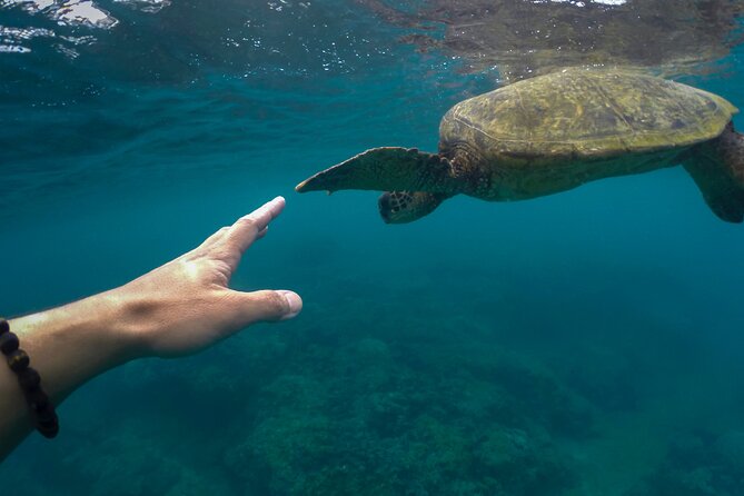 Sail, Snorkel, Picnic Lunch and Open Bar From Frenchmans Reef