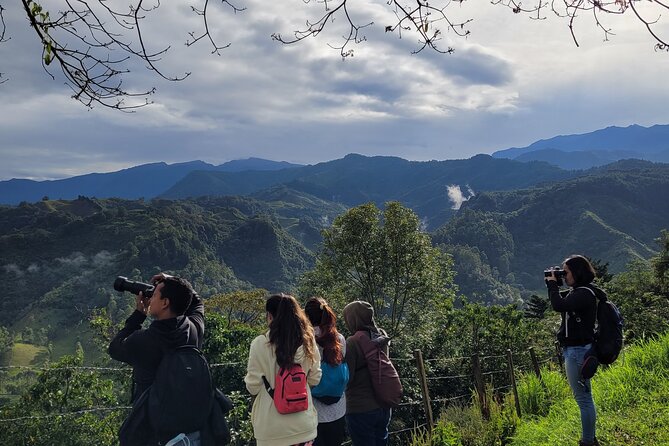Salento: Birding Route of the Raptors