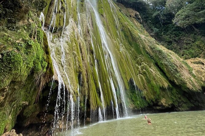 Samana, Waterfall El Limon, Bacardi Island, Whales Watching Group Excursion
